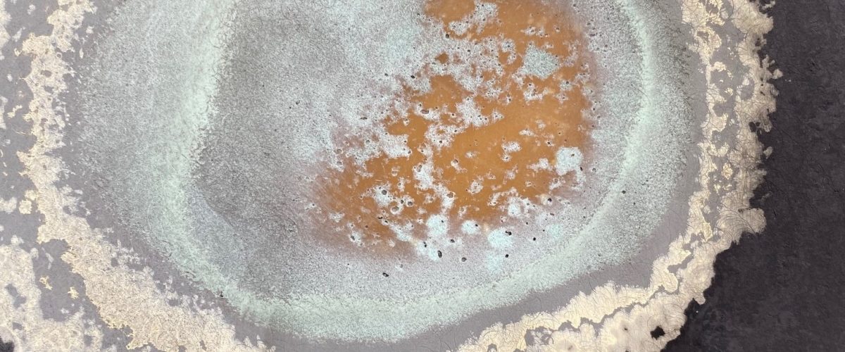 Osmose, Osmoseschaden, Urteil